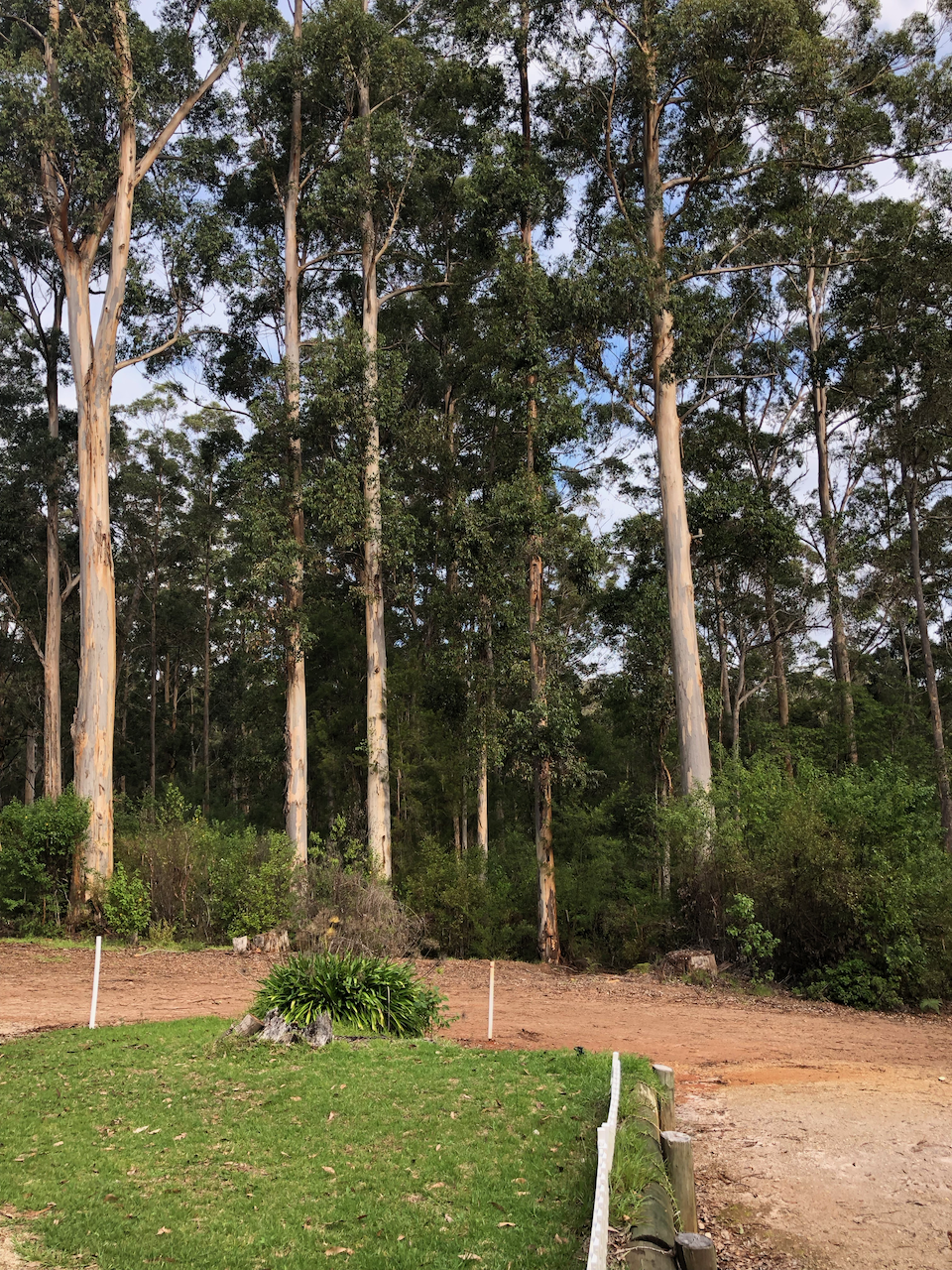 Interior of Blue Wren Cottage